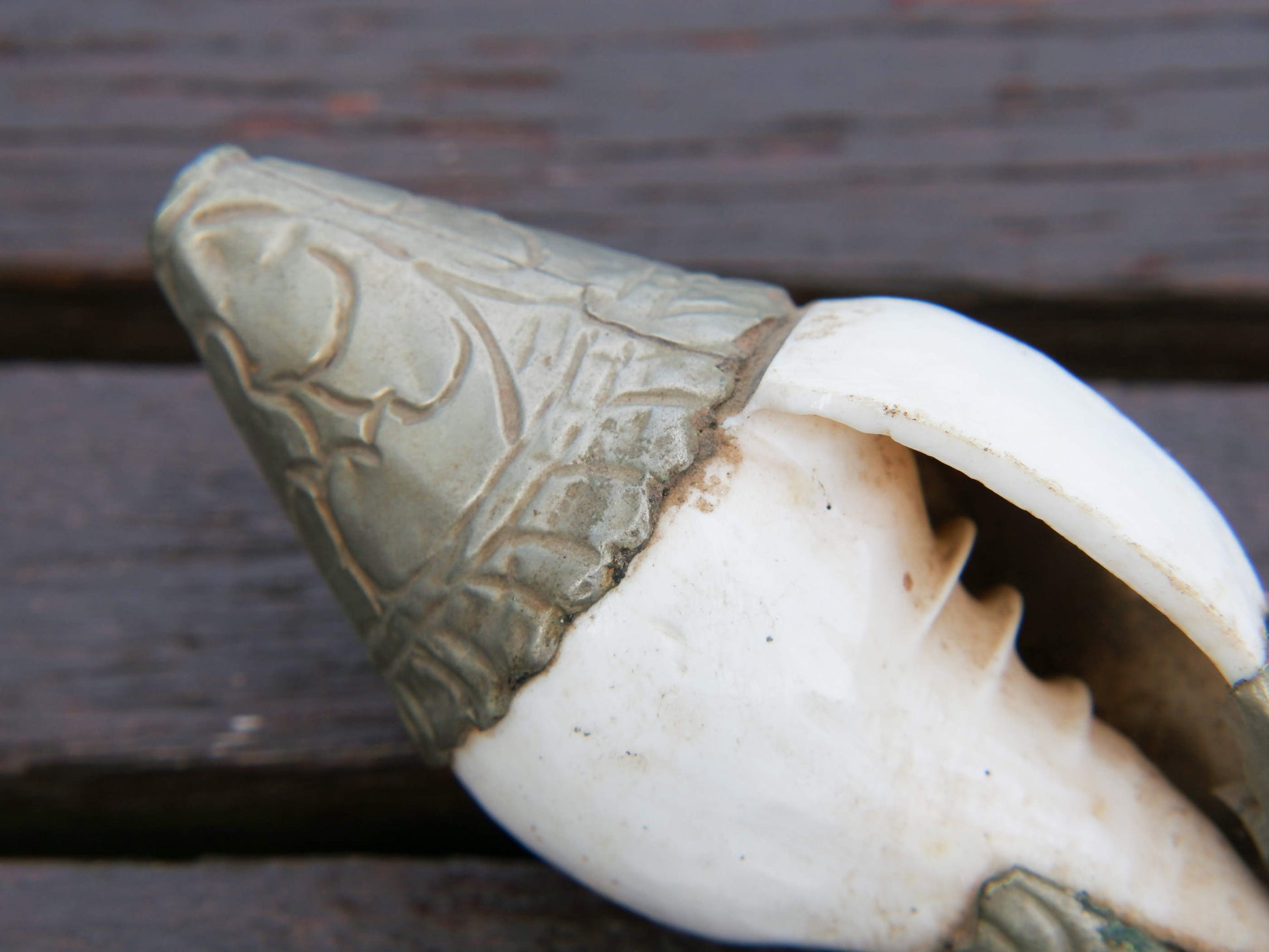 conchiglia tibetana in osso e metallo ( lega di argento )  originale ed unica lavorata artigianalmente . misure 15 x 5 x 5 cm  peso 130 gr