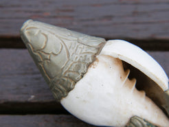 conchiglia tibetana in osso e metallo ( lega di argento )  originale ed unica lavorata artigianalmente . misure 15 x 5 x 5 cm  peso 130 gr