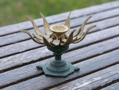 Primo piano della configurazione del fiore di loto aperto con diametro di 12 cm.