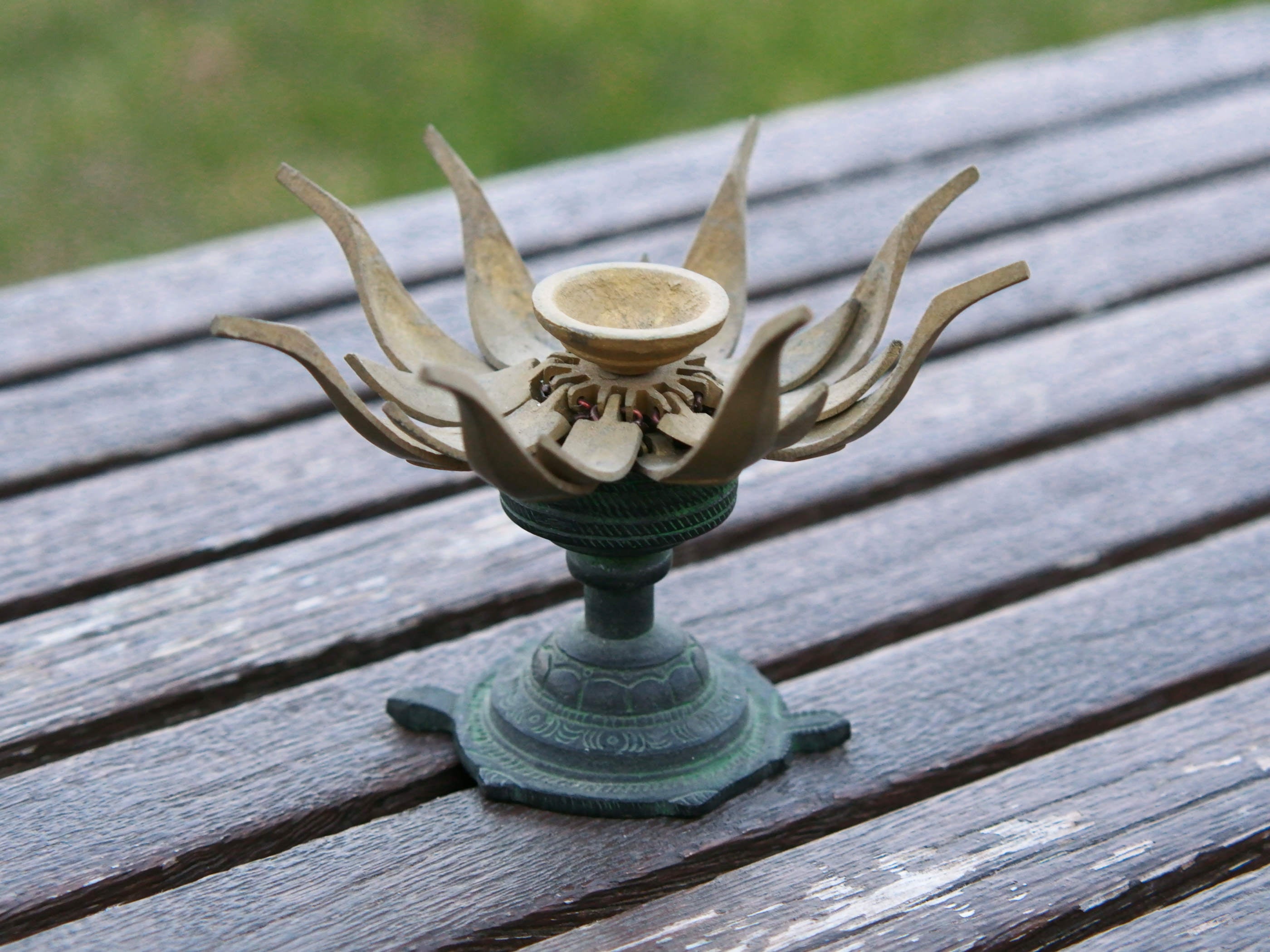 Primo piano della configurazione del fiore di loto aperto con diametro di 12 cm.