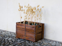 Cassa in legno con 12 bottiglie per acqua frizzante. In uso in India dagli anni 40 ai primi anni 90 le bottiglie venovano usate per fare l'acqua frizzante. Bottiglie e cassetta interamente lavorate in modo artigianale, pezzo vintage originale e di difficile reperibilità se completo come l'articolo in foto. Ogni bottiglia è differente l'una dall'altra ed ogni cassa ha delle caratteristiche relative a fornitore, regione...  dimensioni 30x30xh40cm