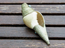 Particolare dell'apertura  della conchiglia cerimoniale.
