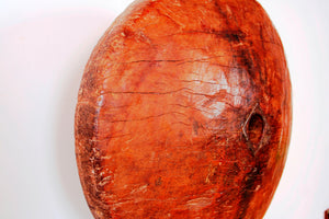 Chiave Di Volta Antica Usata Come Tirante Per Tende di Popoli Nomadi. Oggetti Molto Rari E Di Difficile Reperibilità Originali Dell'India Del Nord, Zona Gujarath E Confini Con Pakisthan. Formati Da Un Unica Sezione Di Tronco Poi Resa "Scultura" Con Basamento In Metallo. Dimensioni Diametro 40 Profondità 20cm.