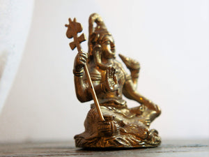 statuetta indiana in lega di metalli raffigurante kali Kālī è una divinità femminile hindu, manifestazione terribile, aggressiva e non materna della Dea.[1] Descritta come battagliera e feroce, Kālī (lett.: "La Nera") è spesso associata al dio Śiva, del quale, in alcuni testi, incarna gli aspetti complementari.