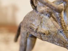 Carica l&#39;immagine nel visualizzatore di Gallery, Antica statua cammello Mali  cod.BR063
