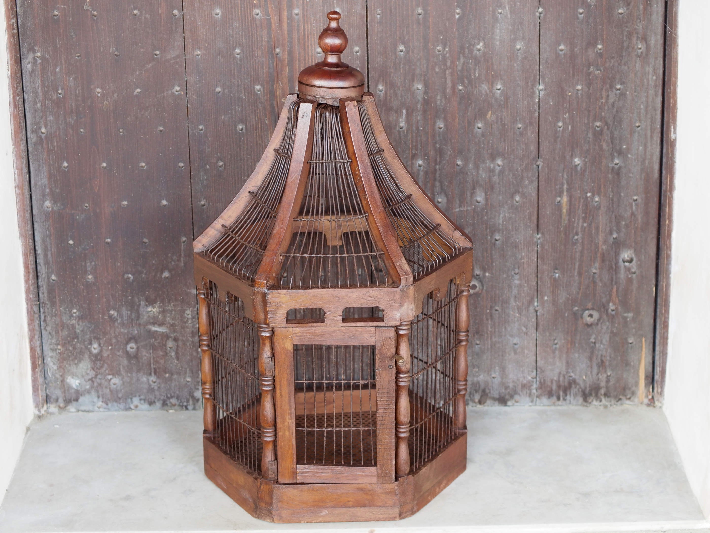 Gabbia india    cod.GI250