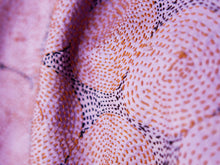 Carica l&#39;immagine nel visualizzatore di Gallery, Tipico scialle indiano in seta lavorato con la tecnica khanta, double face. peso 80 grammi, dimensioni 40x200cm.