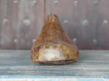 Carica l&#39;immagine nel visualizzatore di Gallery, Stampo piede usato dai calzolai in India per creare scarpe. In legno di teak è ricavato da un unico tronco. Nella parte plantare ha un gancio per essere appeso.  Dimensioni 28x9 h10cm.