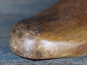 Stampo piede usato dai calzolai in India per creare scarpe. In legno di teak è ricavato da un unico tronco. Nella parte plantare ha un gancio per essere appeso.  Dimensioni 28x9 h10cm.